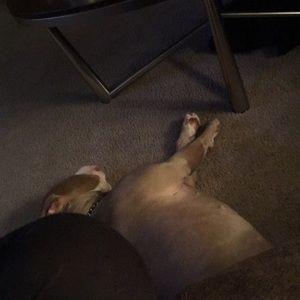 Meet your Posher, Tyler